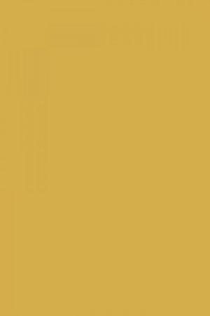 FARROW AND BALL PRINT ROOM YELLOW NO. 69 PAINT